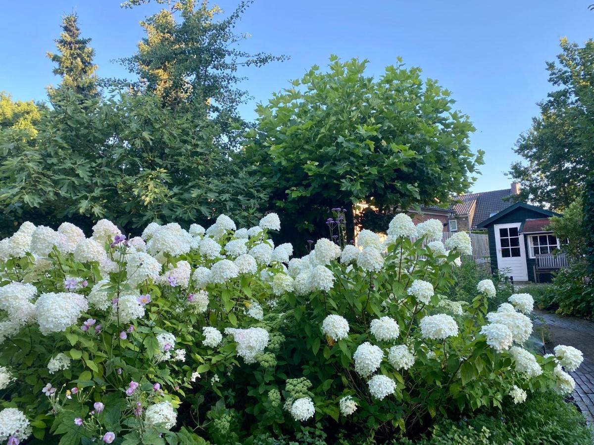 Maison De Sas Bed and Breakfast Laren  Esterno foto